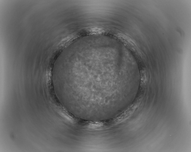 X0000111670369200907311203