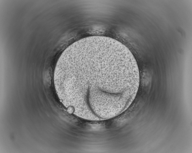 X0000111670370200907311203