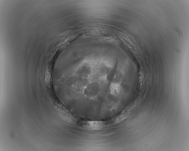 X0000111670371200907311203