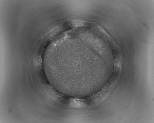 X0000111670372200907311203