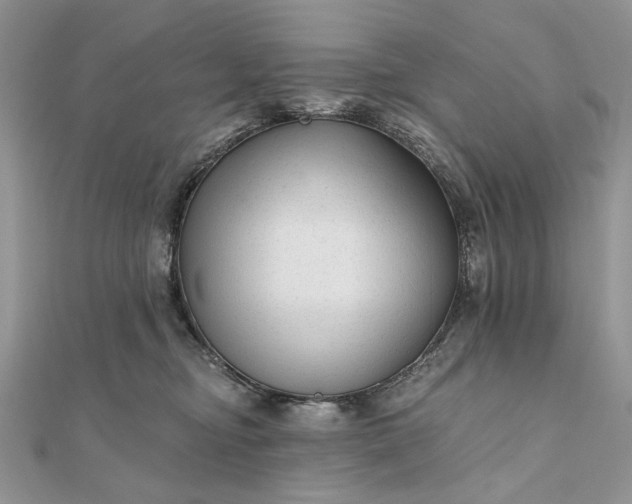 X0000111670374200907311203