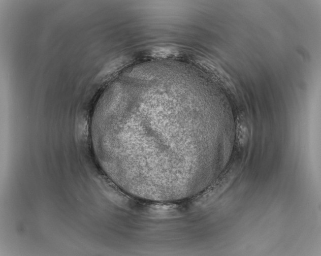 X0000111670375200907311203