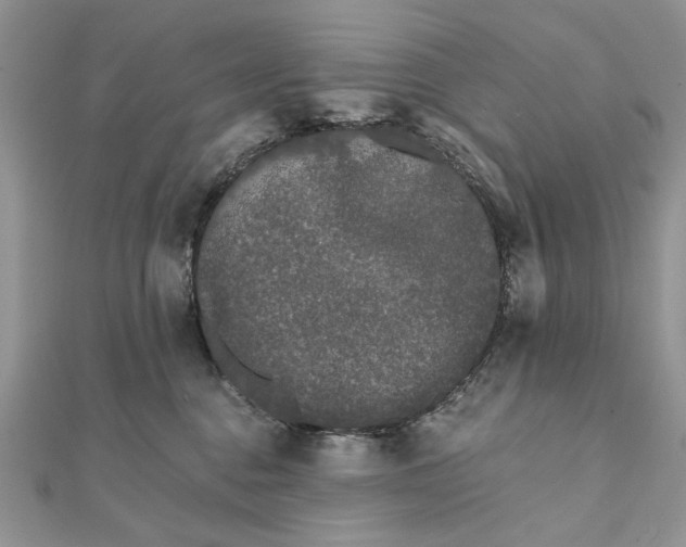 X0000111670376200907311203