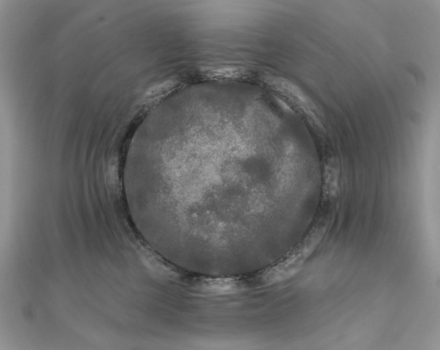 X0000111670377200907311203