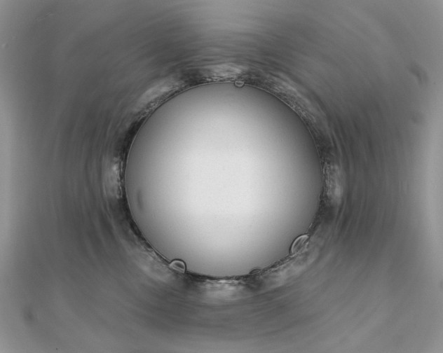 X0000111670378200907311203