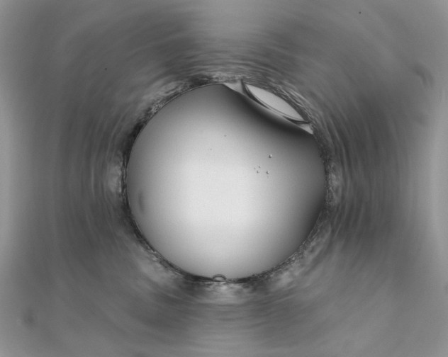 X0000111670379200907311203