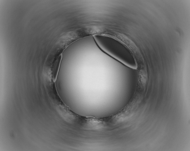 X0000111670380200907311203