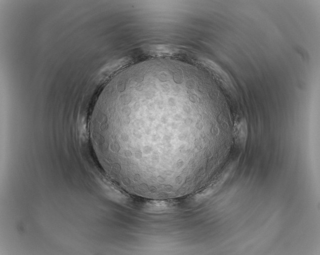 X0000111670381200907311203