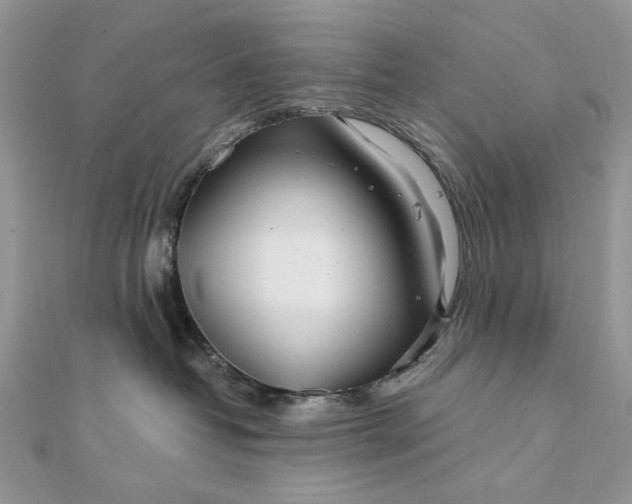 X0000111670382200907311203