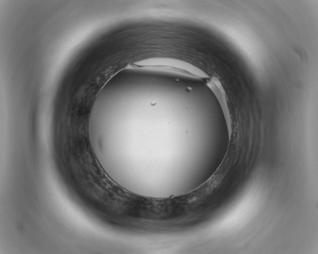 X0000111670383200907311203