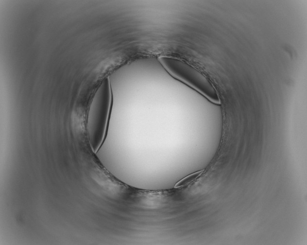 X0000111670384200907311203