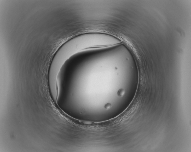 X0000111670385200907311203