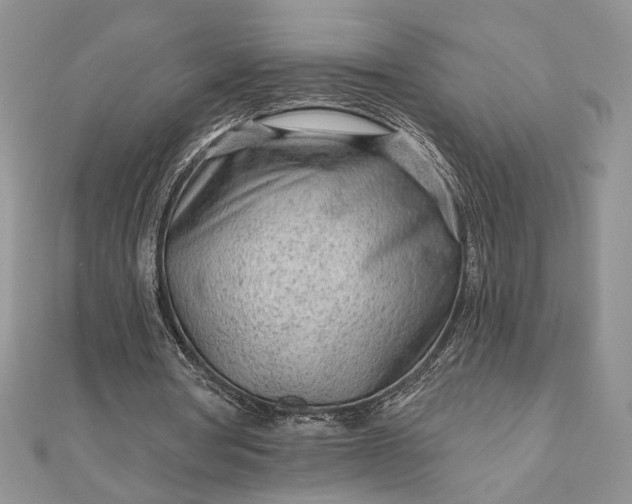 X0000111670386200907311203