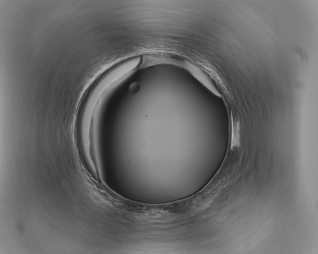 X0000111670387200907311203