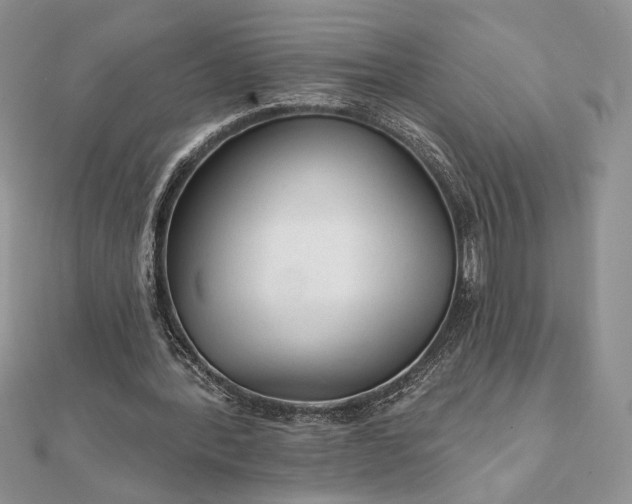 X0000111670388200907311203