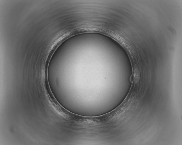 X0000111670390200907311203