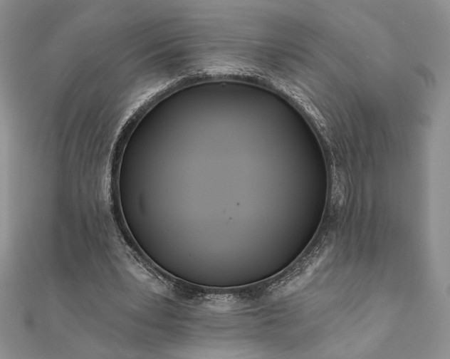 X0000111670391200907311203