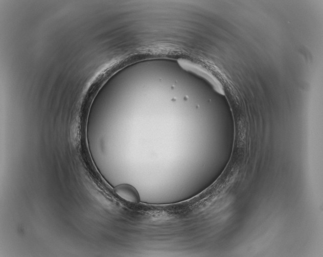 X0000111670392200907311203