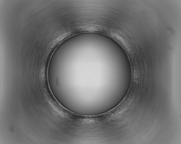 X0000111670394200907311203