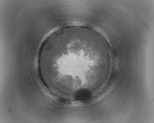 X0000111670395200907311203