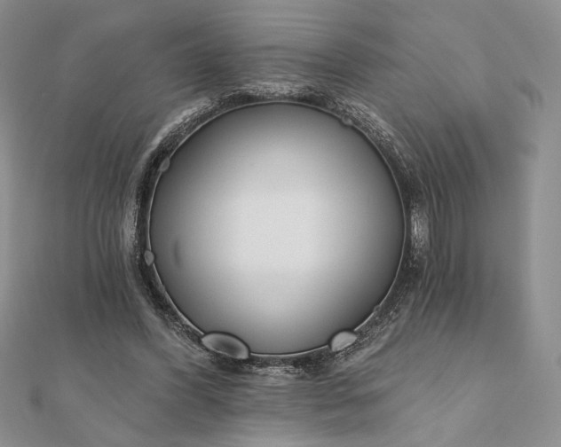 X0000111670396200907311203