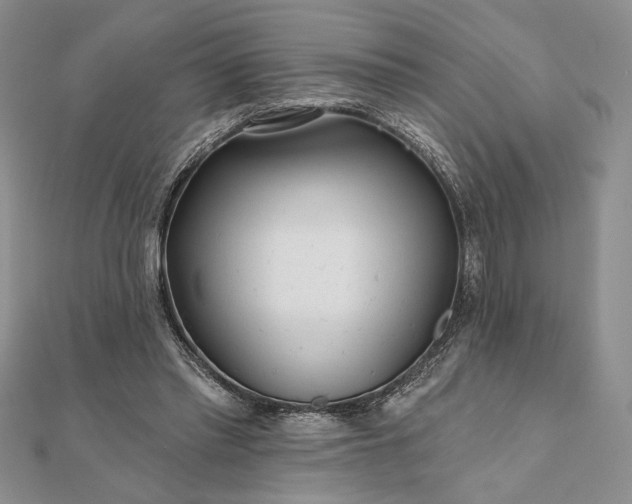 X0000111670397200907311203