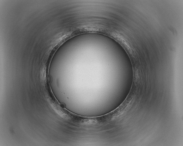 X0000111670398200907311203