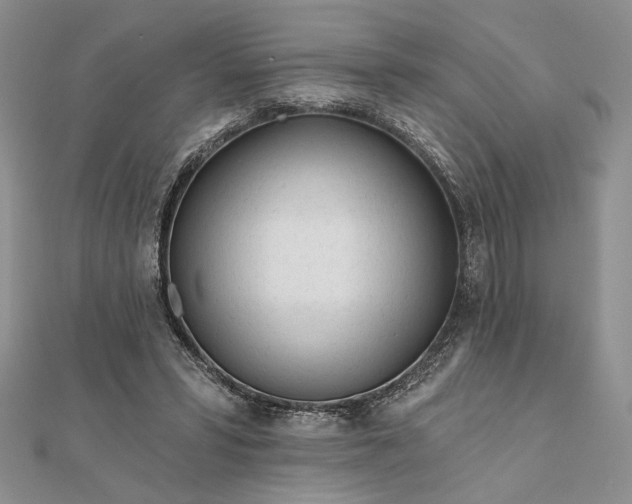 X0000111670399200907311203