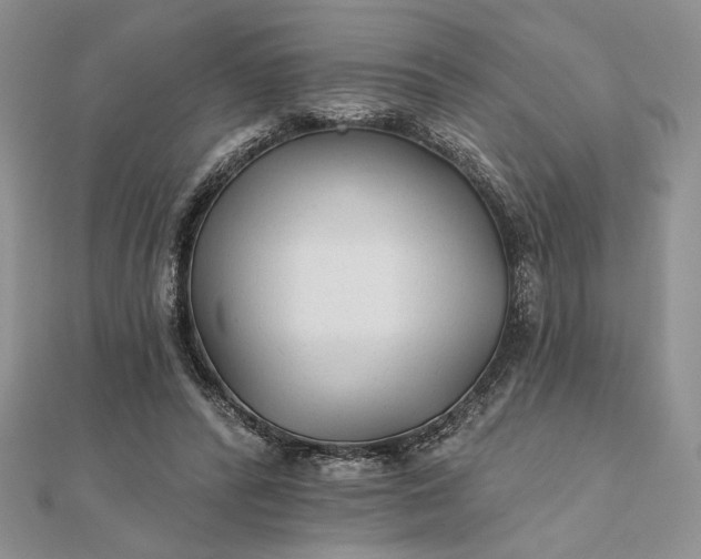 X0000111670400200907311203