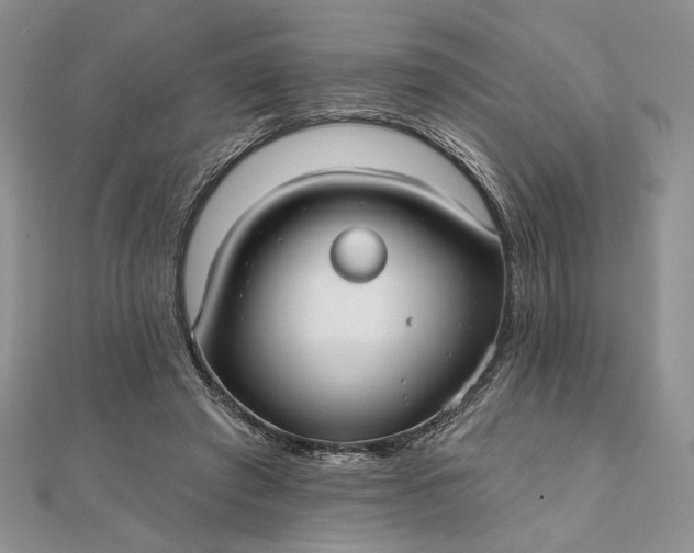 X0000111670401200907311202