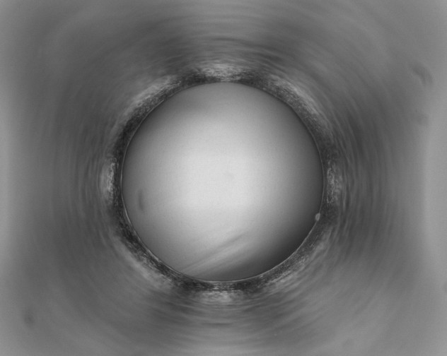 X0000111670404200907311202