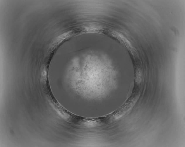 X0000111670405200907311202