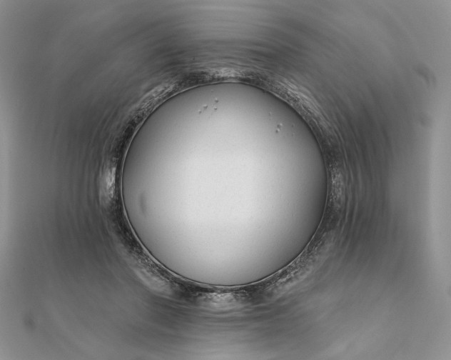 X0000111670406200907311202