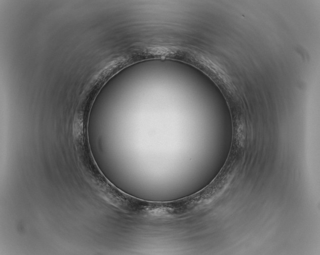 X0000111670407200907311202