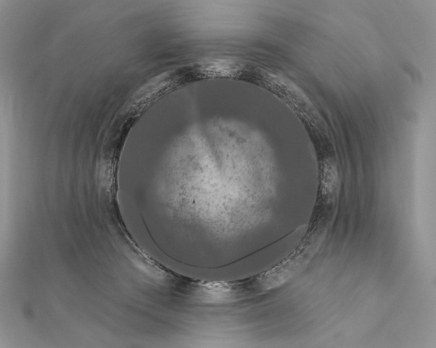 X0000111670409200907311202