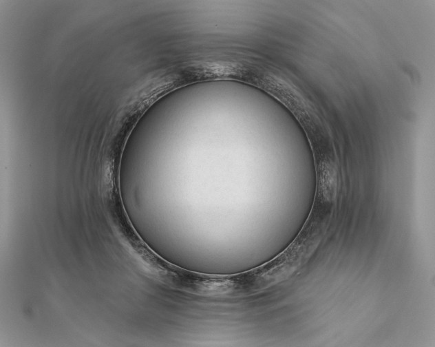 X0000111670410200907311202