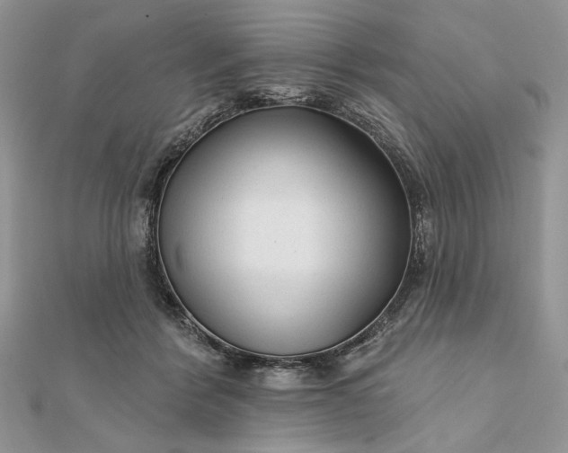 X0000111670412200907311202