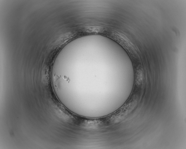 X0000111670414200907311202