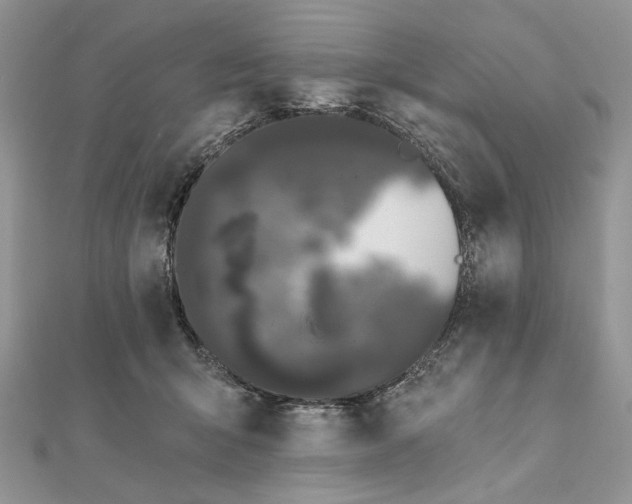 X0000111670415200907311202