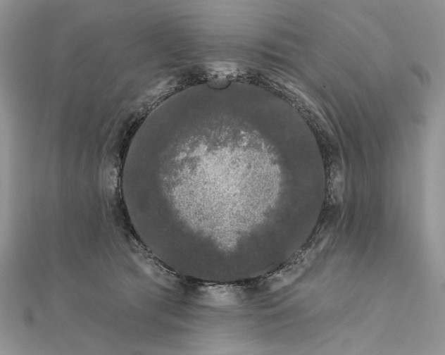 X0000111670417200907311202