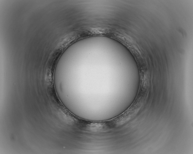 X0000111670418200907311202