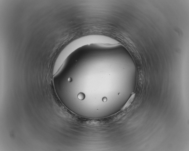 X0000111670419200907311202