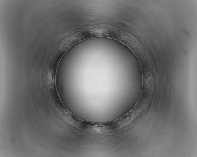 X0000111670420200907311202