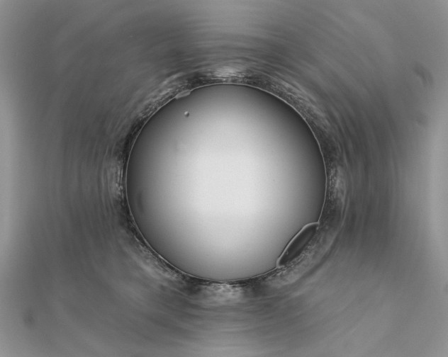 X0000111670421200907311202