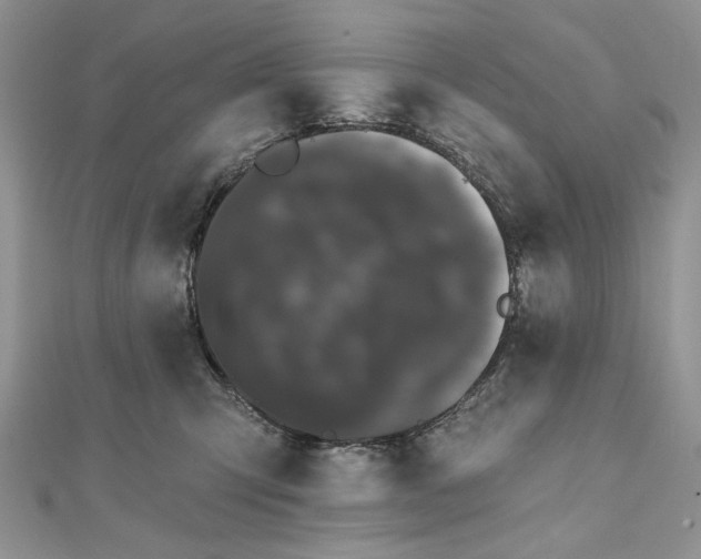 X0000111670423200907311202