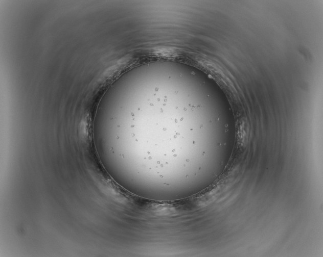 X0000111670424200907311202