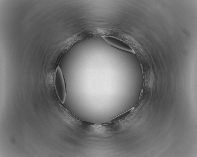 X0000111670425200907311202