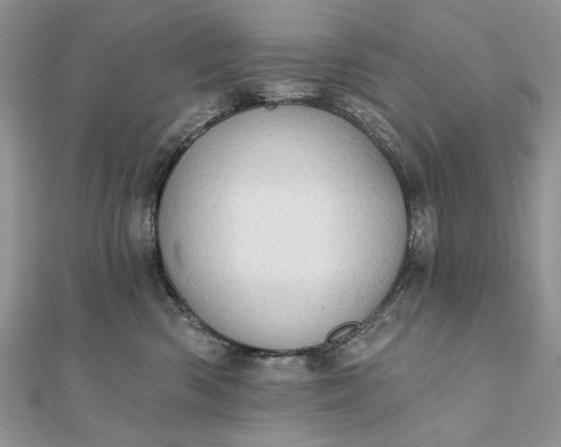 X0000111670426200907311202