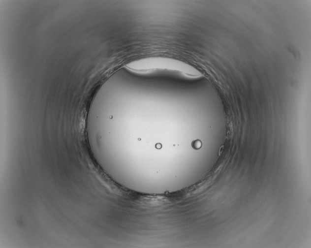 X0000111670427200907311202