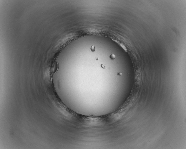 X0000111670428200907311202